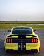 IMG_3944.jpeg