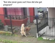IMG_2401.jpeg