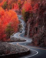 IMG_4245.jpeg