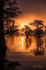 IMG_4437.jpeg