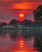 IMG_4444.jpeg
