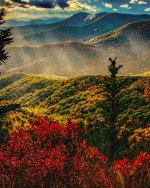 IMG_4447.jpeg
