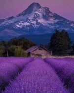 IMG_4449.jpeg