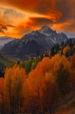 IMG_4454.jpeg