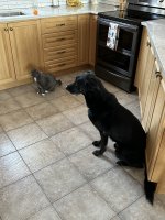 IMG_5062.jpeg