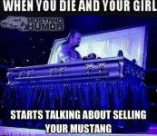 IMG_5095.jpeg