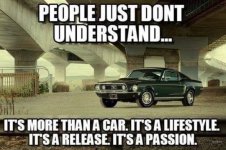 IMG_5100.jpeg