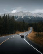 IMG_4685.jpeg