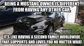 IMG_5117.jpeg