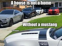 IMG_5123.jpeg
