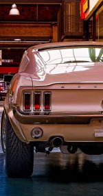 IMG_4253.jpeg