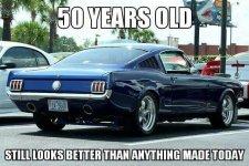 IMG_5355.jpeg