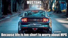 IMG_5494.jpeg
