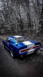IMG_4468.jpeg