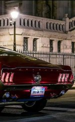 IMG_5342.jpeg