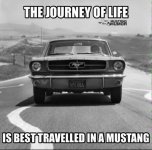 IMG_5599.jpeg