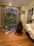 IMG_2566.jpeg