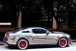 ChromeMustangChina-02.jpg