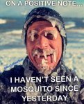 FB_IMG_1579363168217.jpg