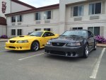 IMG_0225.jpeg