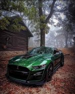 IMG_4632.jpeg
