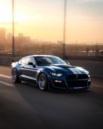 IMG_4640.jpeg