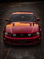 IMG_4466.jpeg