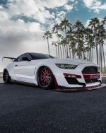 IMG_4699.jpeg
