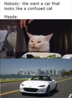 IMG_2567.jpeg