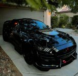 IMG_4830.jpeg