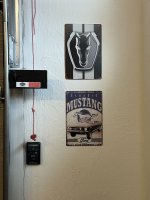 IMG_4395.jpeg