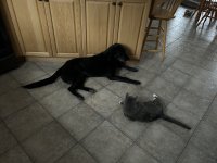 IMG_6090.jpeg