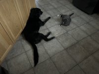 IMG_6091.jpeg