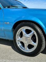 IMG_5883.jpeg