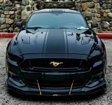 IMG_4641.jpeg