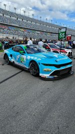 IMG_6137.jpeg