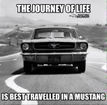 IMG_6244.jpeg