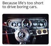 IMG_6273.jpeg