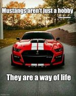 IMG_6457.jpeg