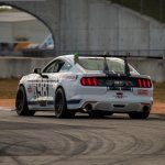 IMG_6385.jpeg