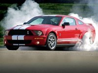 IMG_5304.jpeg