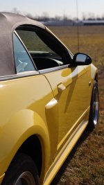 IMG_6364.jpeg