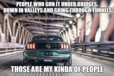 IMG_6712.jpeg