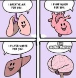 IMG_6714.jpeg