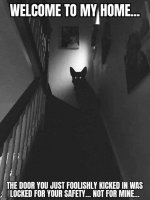 IMG_2654.jpeg