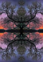 IMG_6773.jpeg