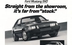 IMG_6775.jpeg