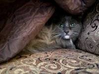 IMG_5425.jpeg