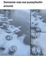 Cheesy-memes-03_01_24-1-24.jpg_attachment_cache_bust=4640339&quality=85&strip=info.jpg