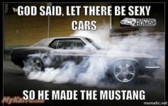 IMG_6869.jpeg
